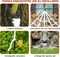 Halloween Decorations Outdoor Spider Webs: 1Pcs Giant Spiders - 200'' Triangular Web with Hook - Stretch Web and Ground Stakes for Large Halloween Decor and Haunted House Decoration